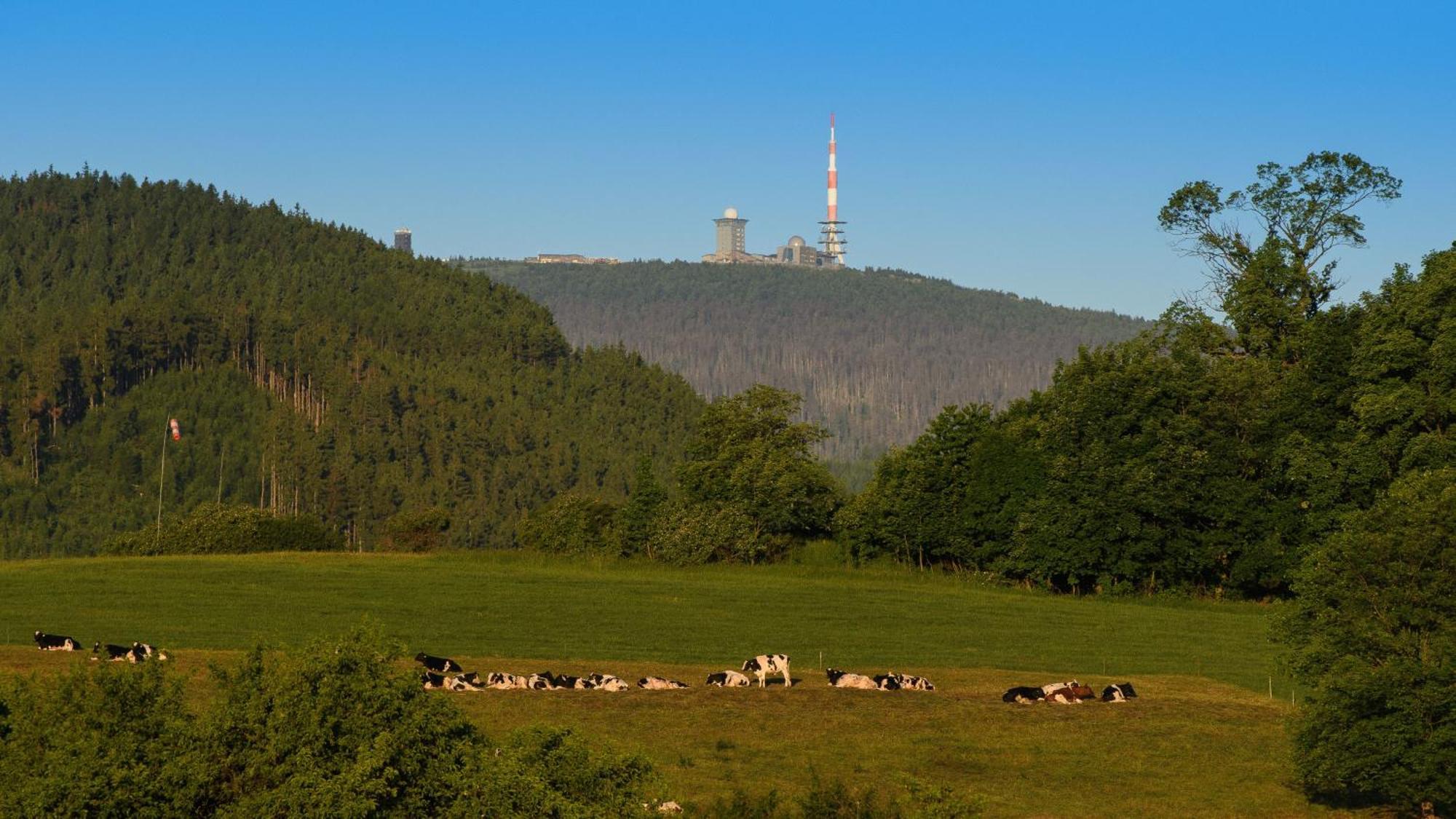 Apartmán Harzsight180 Bad Harzburg Exteriér fotografie